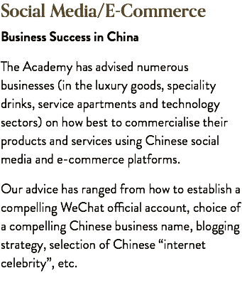 Social Media/E-Commerce Business Success in China The Academy has advised numerous businesses (in the luxury goods, speciality drinks, service apartments and technology sectors) on how best to commercialise their products and services using Chinese social media and e-commerce platforms. Our advice has ranged from how to establish a compelling WeChat official account, choice of a compelling Chinese business name, blogging strategy, selection of Chinese “internet celebrity”, etc.